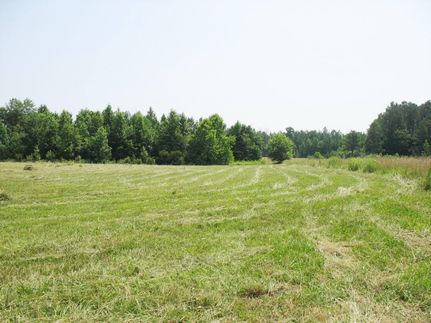 Farm and Ranch in Surry County, Virginia