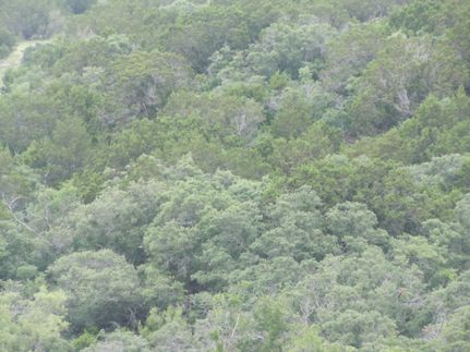 Farm and Ranch in Taylor County, Texas