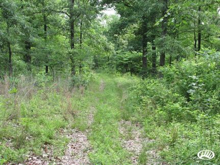 Land in Webster County, Kentucky