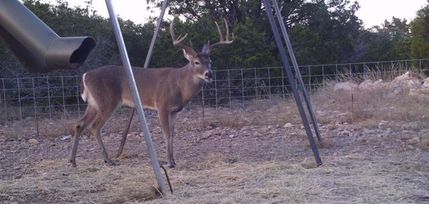 Recreational Property in Edwards County, Texas