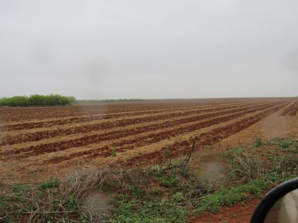 Land in Haskell County, Texas
