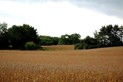 Farm and Ranch in Dane County, Wisconsin
