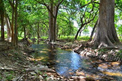 Timberland Property in Kendall County, Texas