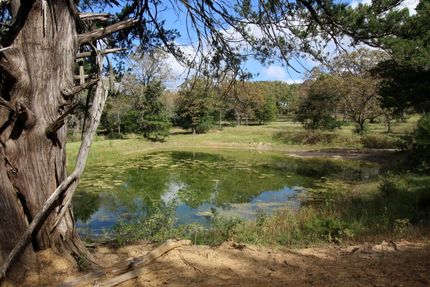 Undeveloped Land in Leon County, Texas