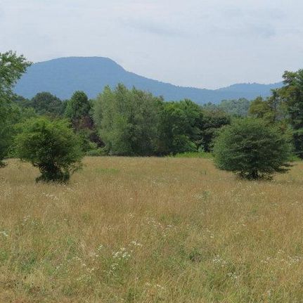 Farm and Ranch in Floyd County, Virginia