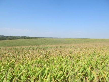 Timberland Property in Crawford County, Wisconsin