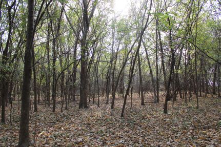 Farm and Ranch in Jackson County, Missouri