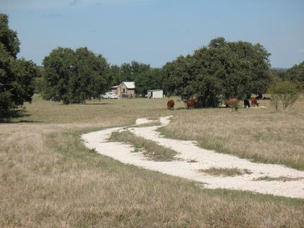 Undeveloped Land in Eastland County, Texas