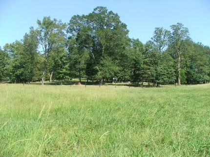Farm and Ranch in Fayette County, Alabama