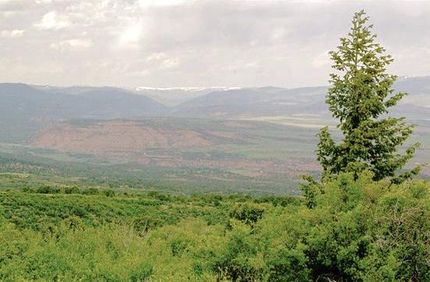 Farm and Ranch in Duchesne County, Utah