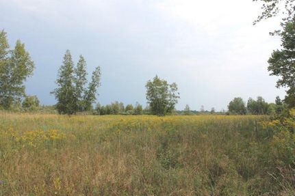 Farm and Ranch in Jefferson County, New York