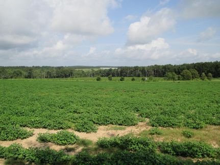 Farm and Ranch in Coffee County, Alabama