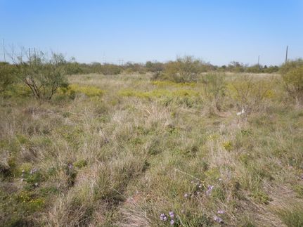 Land in Callahan County, Texas