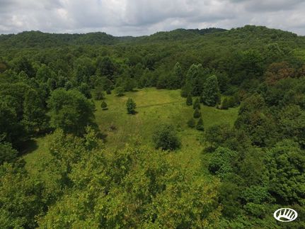 Land in Casey County, Kentucky