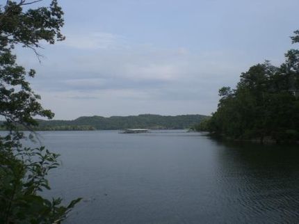 Timberland Property in Hawkins County, Tennessee