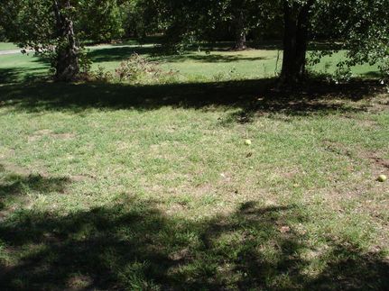 Farm and Ranch in Lamar County, Texas