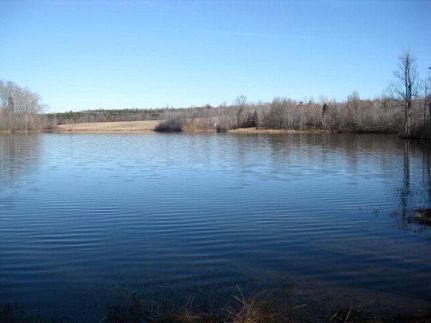 Undeveloped Land in Prince Edward County, Virginia