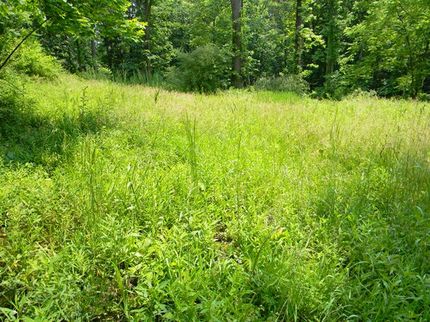 Homesite in Tompkins County, New York