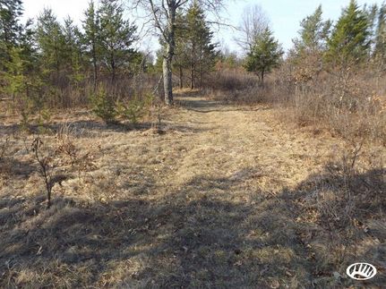 Land in Juneau County, Wisconsin