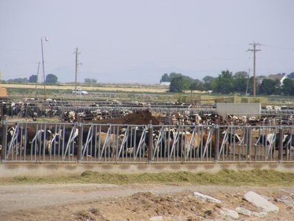 Farm and Ranch in Millard County, Utah