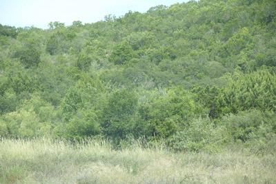 Farm and Ranch in Val Verde County, Texas