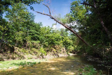 Undeveloped Land in Hamilton County, Texas