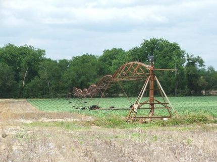 Farm and Ranch in Screven County, Georgia