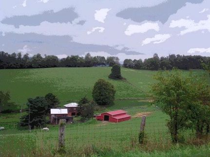 Timberland Property in Bland County, Virginia