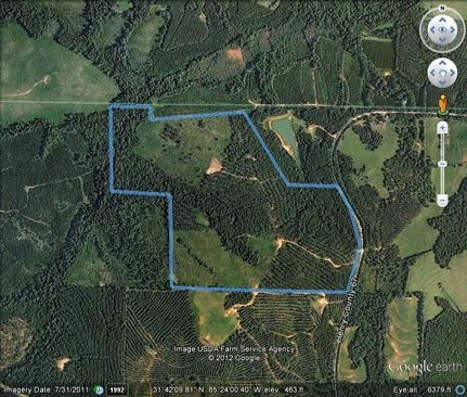 Farm and Ranch in Henry County, Alabama