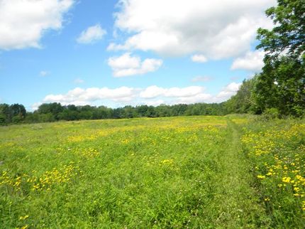 Farm and Ranch in Tompkins County, New York