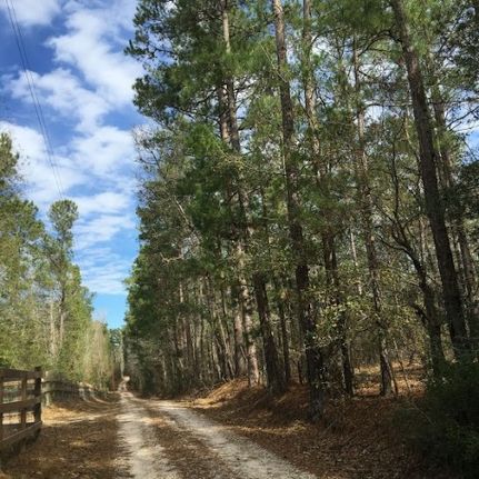Farm and Ranch in San Jacinto County, Texas