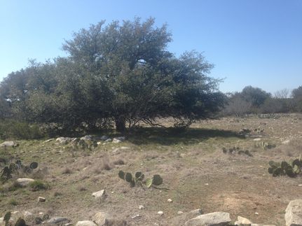 Farm and Ranch in Schleicher County, Texas