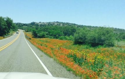 Hunting Property in Gillespie County, Texas