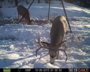Land in Hitchcock County, Nebraska