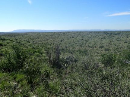 Undeveloped Land in Terrell County, Texas