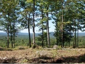 Land in Hillsborough County, New Hampshire