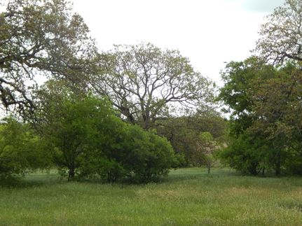 Farm and Ranch in Eastland County, Texas