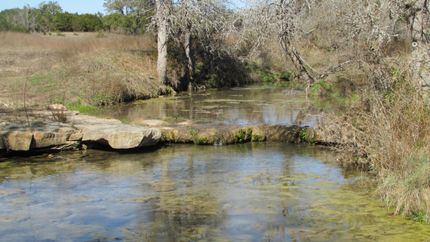Farm and Ranch in Travis County, Texas