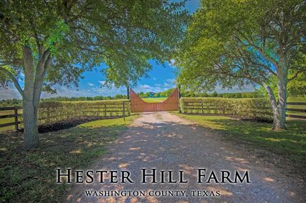 Timberland Property in Washington County, Texas