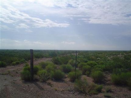 Undeveloped Land in Reeves County, Texas