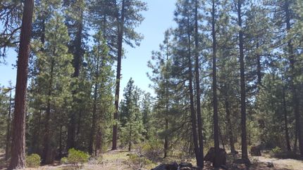 Recreational Property in Klamath County, Oregon