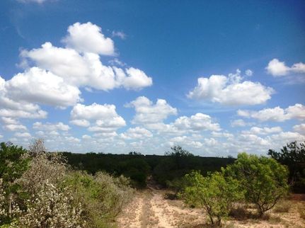 Farm and Ranch in Jim Wells County, Texas