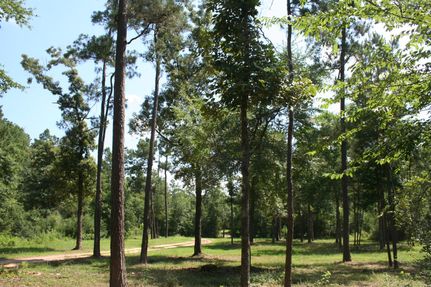Land in Montgomery County, Texas