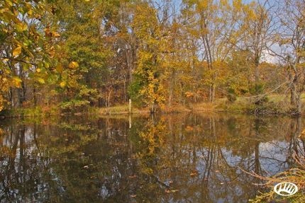 Commercial Property in Lincoln County, Missouri