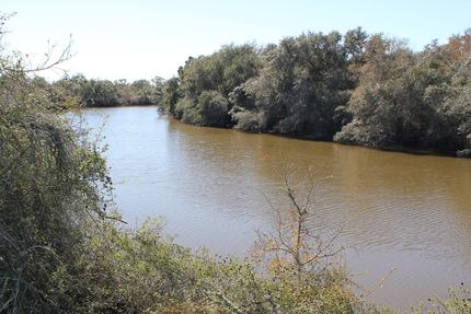 Timberland Property in Jackson County, Texas