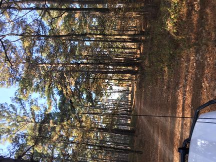 Farm and Ranch in Yalobusha County, Mississippi
