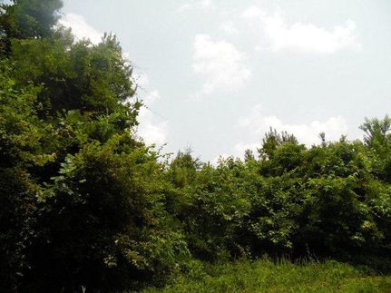 Land in Prince Edward County, Virginia