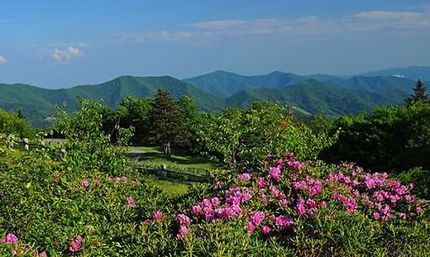 Commercial Property in McDowell County, North Carolina