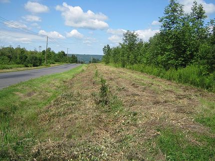 Farm and Ranch in Cayuga County, New York