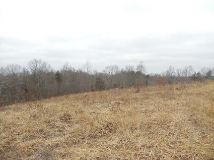 Land in Adair County, Kentucky